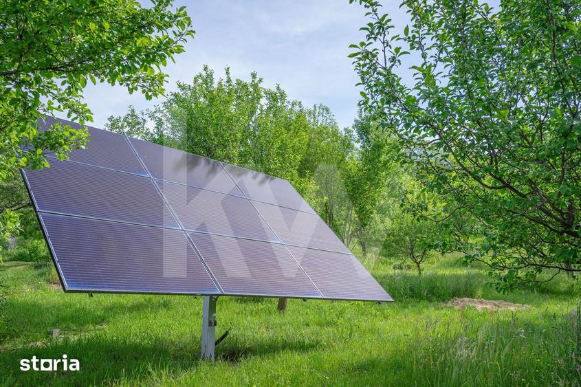 Casă cu 6 camere cu Teren 5683 Mp în Sadu