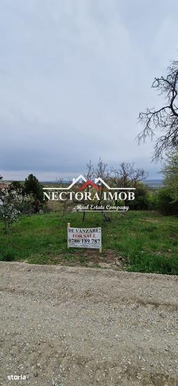 Teren de 3400 mp, în Podgoria