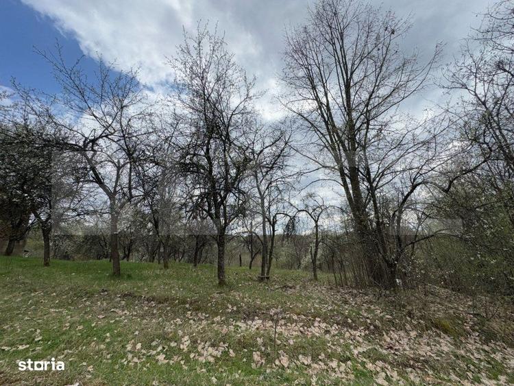 Casă cu 2 camere cu Teren 10000 Mp în Central