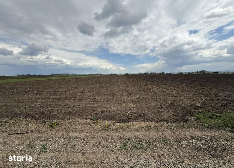 Teren de 6800 mp, în Săucești