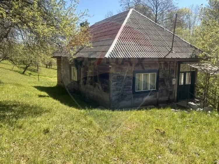 Casă cu 3 camere cu Teren 6039 Mp în Desești