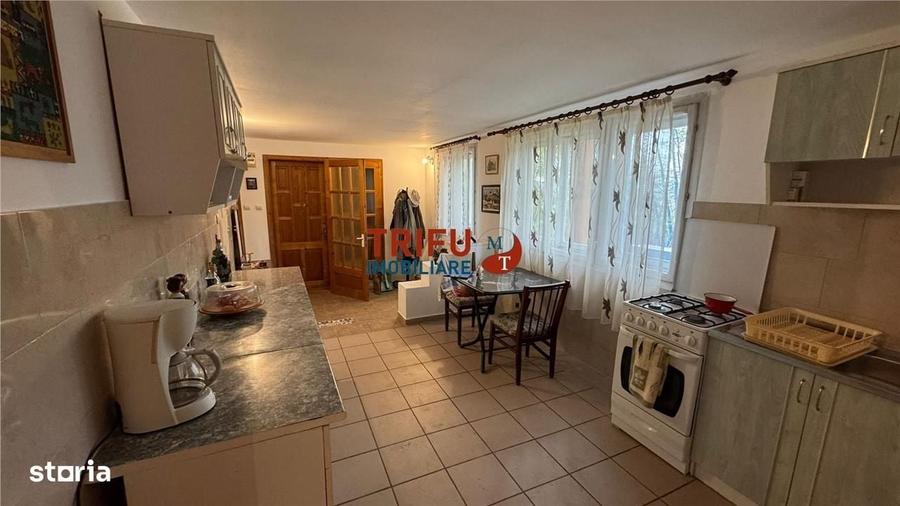 Casa de vanzare in Alba Iulia 5 camere 2300 mp teren - 3
