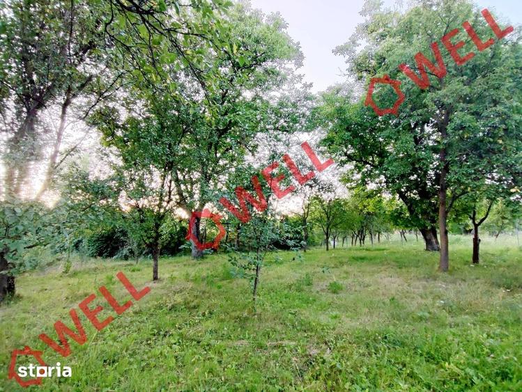 Teren de 1800 mp, în Valea Crișului
