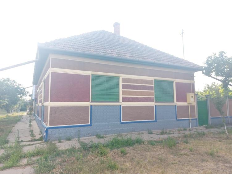 Casa de vanzare in Sofronea, cu livada si teren spatios - 6