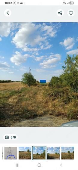 Teren de 4764 mp, în Clinceni