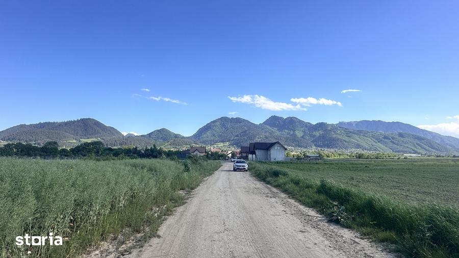 Teren de 400 mp, în Central