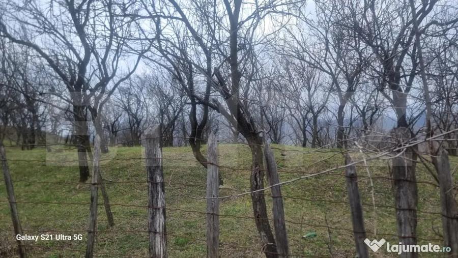 Teren în Schiulești