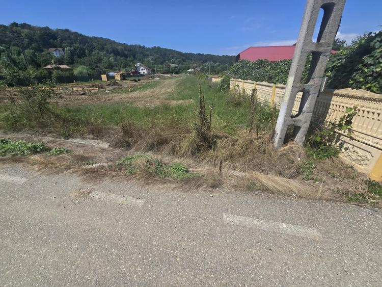 Teren Construcții intravilan de 2131 mp, în Băbana