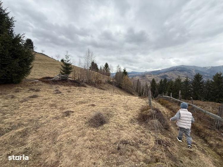 Teren de 1700 mp, în Albac