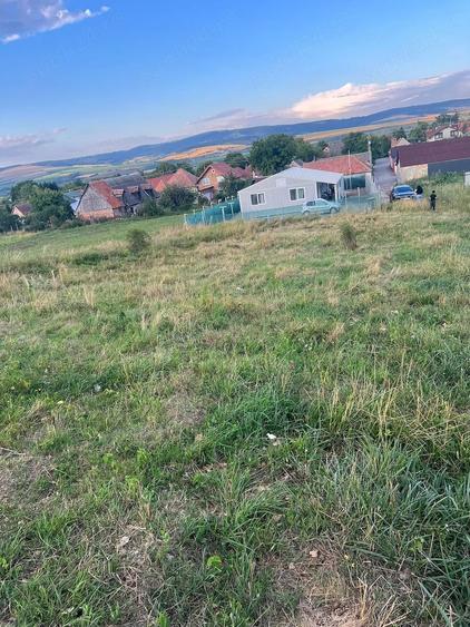 Teren de vanzare Rotbav jd Brasov - 4