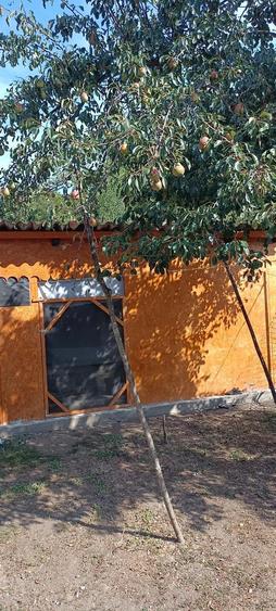 Casă cu 3 camere cu Teren 5000 Mp în Gurasada