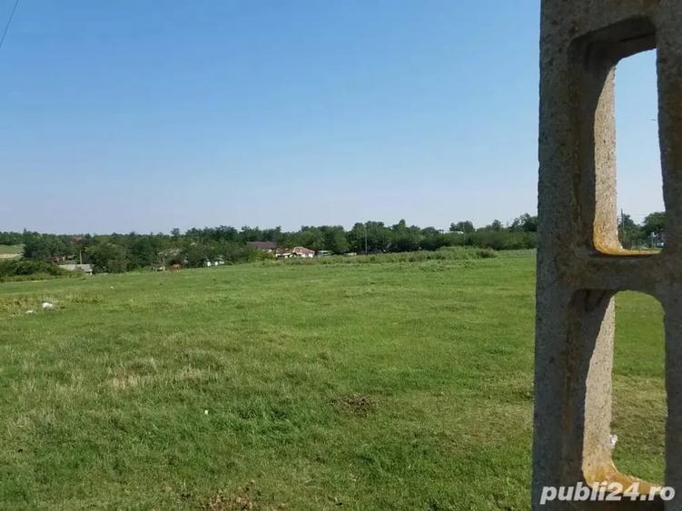 Teren de 1000 mp, în Valea Argovei