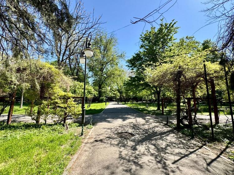 Studio premium | vedere la Parcul Cișmigiu | Complet renovat - 19