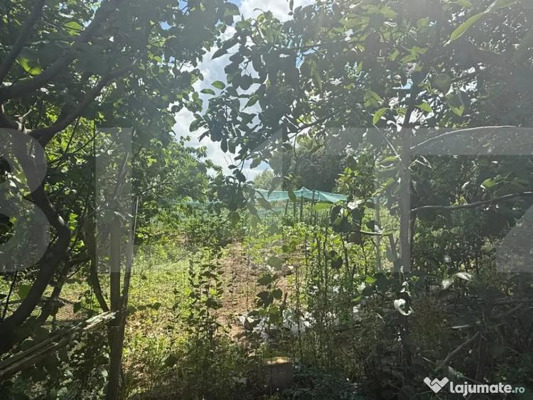 Casă cu 2 camere cu Teren 5000 Mp în Schit-Orășeni
