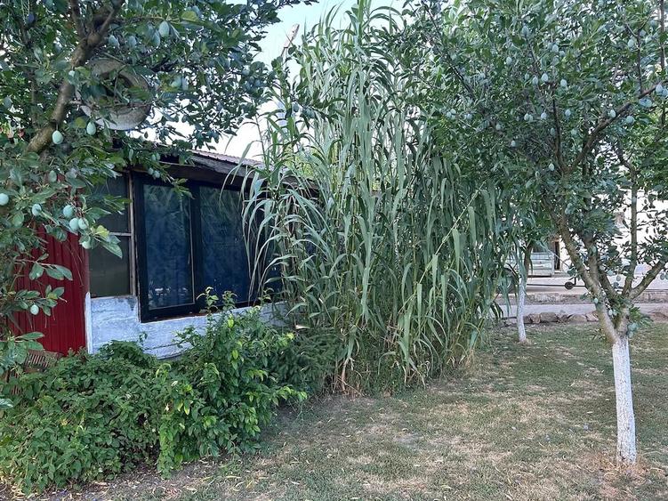 Casă cu Teren 7000 Mp în Central