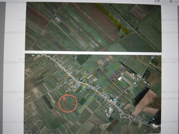 Teren agricol extravilan de 6797 mp, în Tărtășești