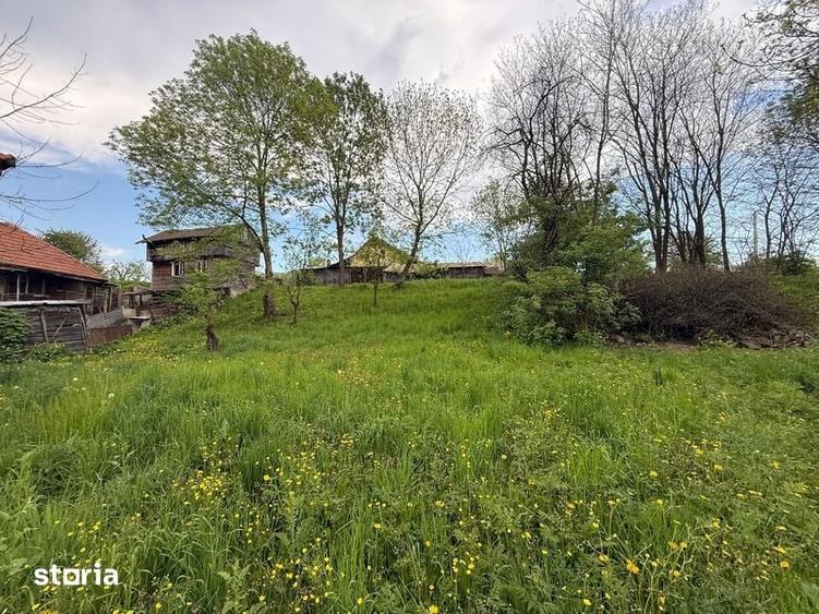 Teren si casa de vanzare , in Nistoresti - 6