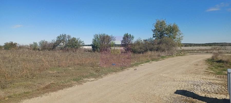 Teren de 6293 mp, în Săbăreni