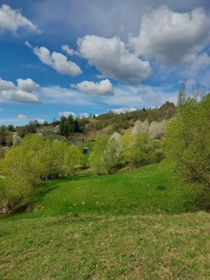 Teren de 2800 mp, în Central