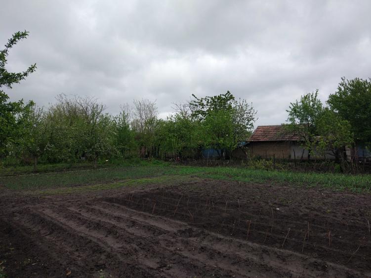 Casă cu 3 camere în Traian
