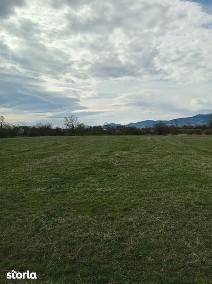 Teren de 3200 mp, în Vicovu de Sus