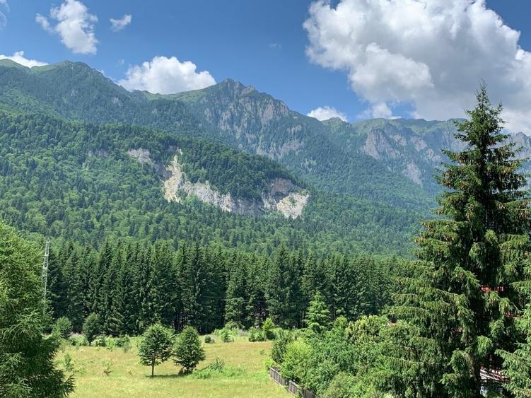 Casă individuală cu 6 camere cu Teren 900 Mp în Sud