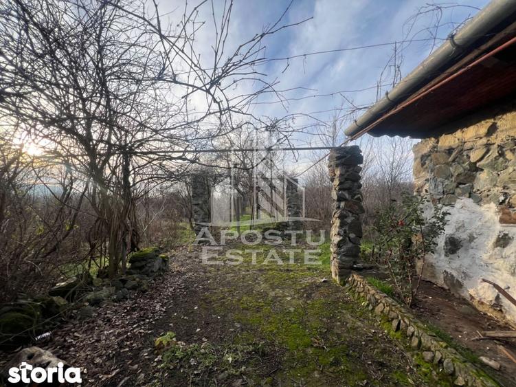 De vanzare casa de vacanta in Charlotemburg jud Timis - 4