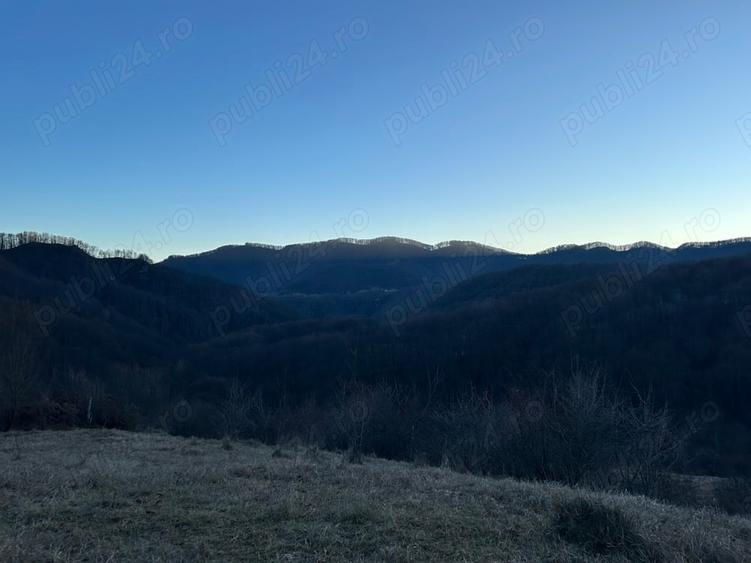 Teren de 4000 mp, în Gurguiata