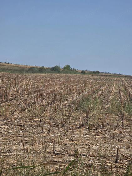 Teren de 20000 mp, în Central