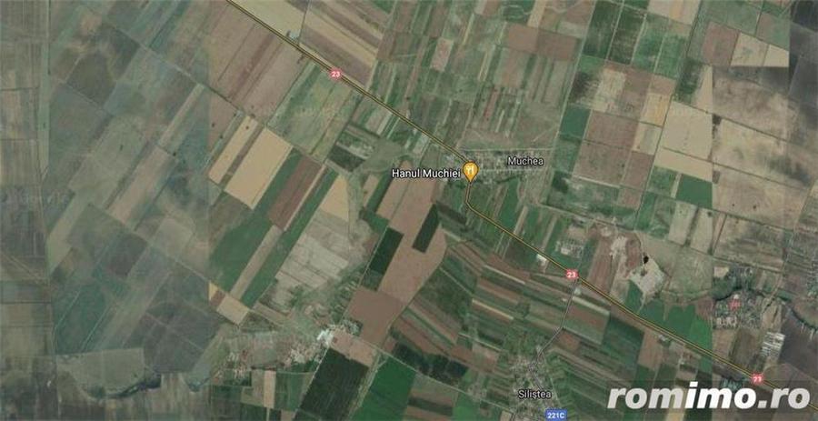 Teren de 400000 mp, în Siliștea