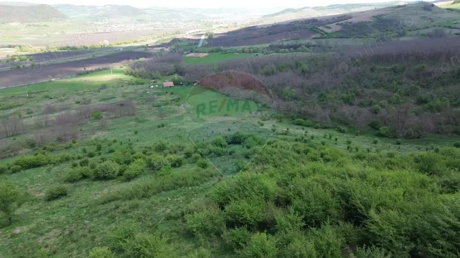 Teren de 659000 mp, în Copșa Mică