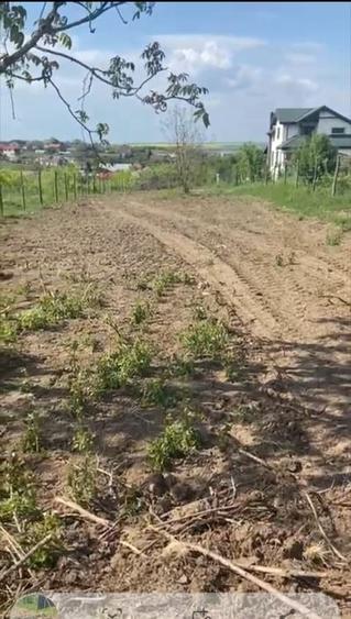 Teren Construcții intravilan de 900 mp, în Comana