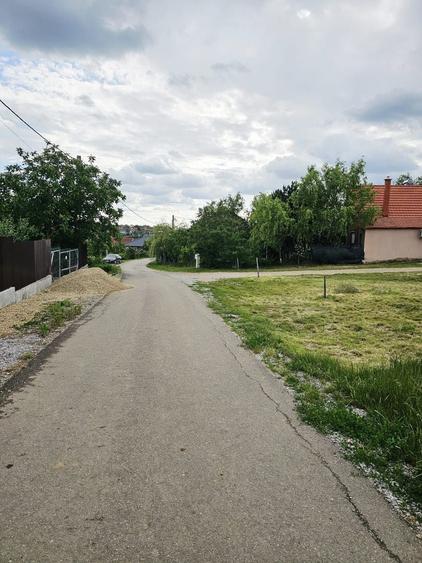 Teren Construcții intravilan de 780 mp, în Săldăbagiu de Munte