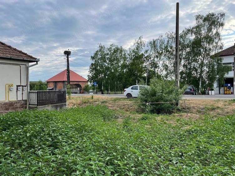 Casă cu Teren 4442 Mp în Viile Apei