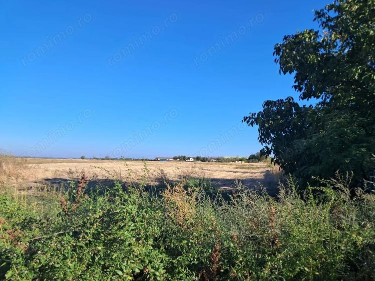 Teren de 4600 mp, în Stejaru