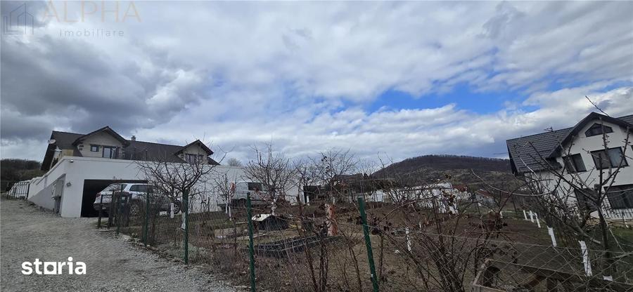 Casă cu 5 camere cu Teren 1450 Mp în Viișoara
