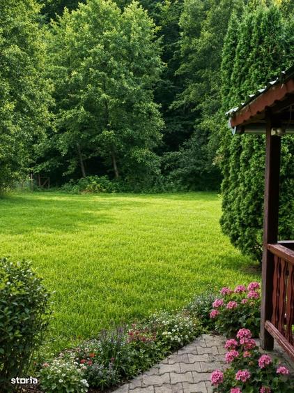 Casa de vacanta in Campu Cetatii,teren 2.400 mp, langa rau si padure - 12