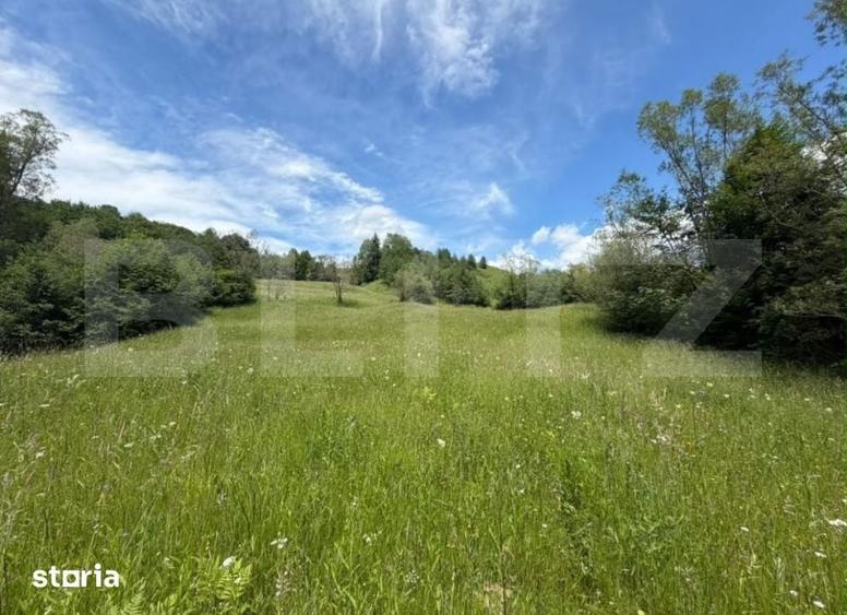 Teren Extravilan 5049 mp , Vama - Bucovina - 2