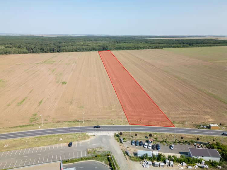 Teren Construcții intravilan de 21500 mp, în Brănești