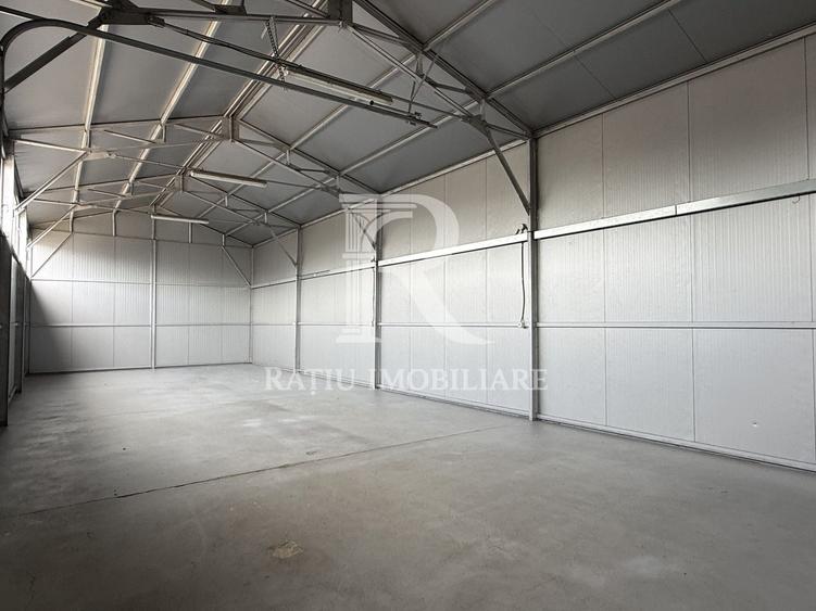 Spațiu industrial, de 120 mp, în Cantemir