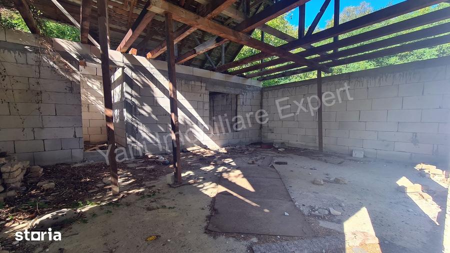 Casă cu 3 camere cu Teren 4391 Mp în Valea Danului