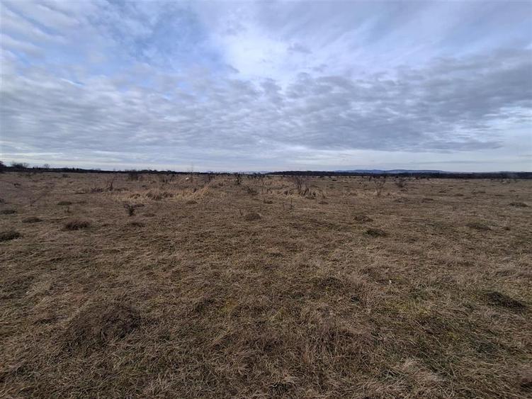 Teren agricol intravilan de 679 mp, în Arhitecților - Calea Cisnădiei