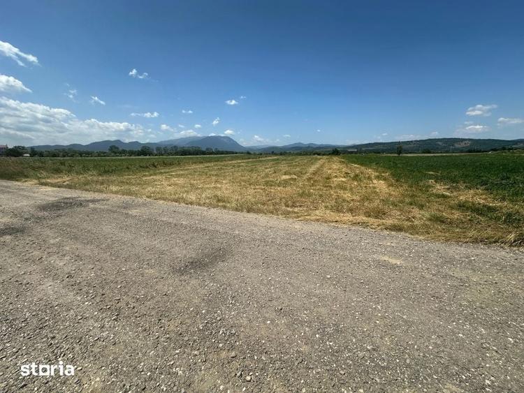 Teren 5000 mp Glajerie, zona Rasnov - 6