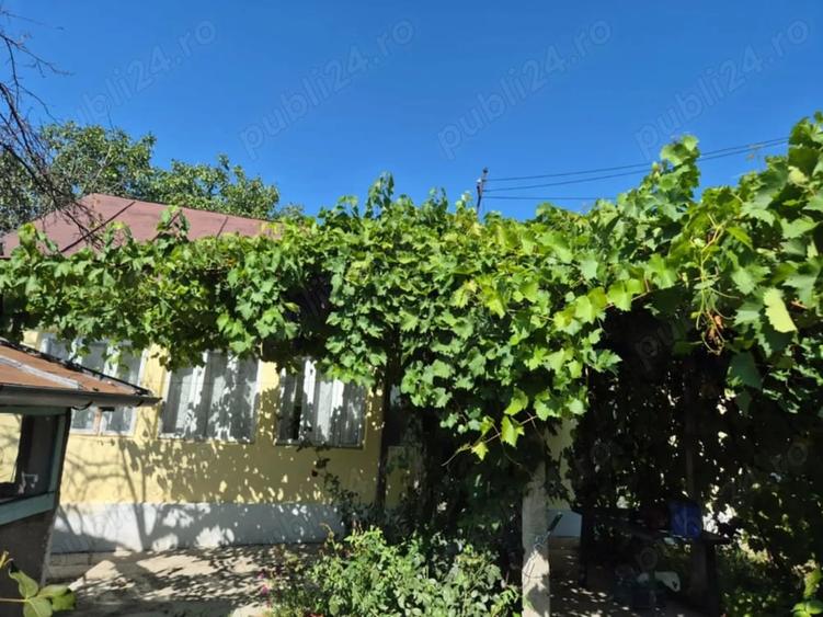 Casă cu 3 camere cu Teren 1000 Mp în Cotești