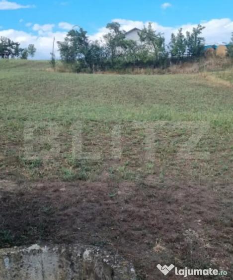 Casă cu 4 camere cu Teren 2580 Mp în Ceanu Mare