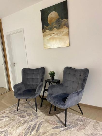Apartament cu 2 camere semidecomandat în Take Ionescu