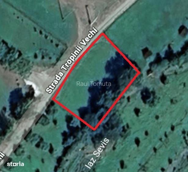 Loc de casa 540mp - Rasinari - zona Tropinii Vechi