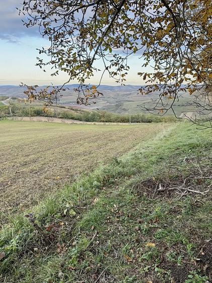 Teren de 14400 mp, în Cojocna