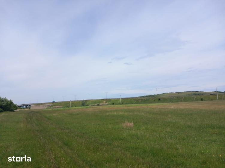 Teren de 6500 mp, în Terezian