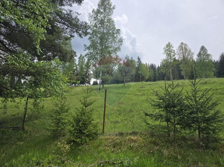 Teren agricol extravilan de 5034 mp, în Iacobeni